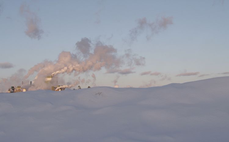 Winter landscape
