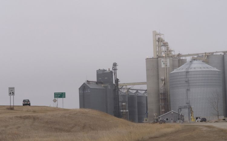 Farm landscape