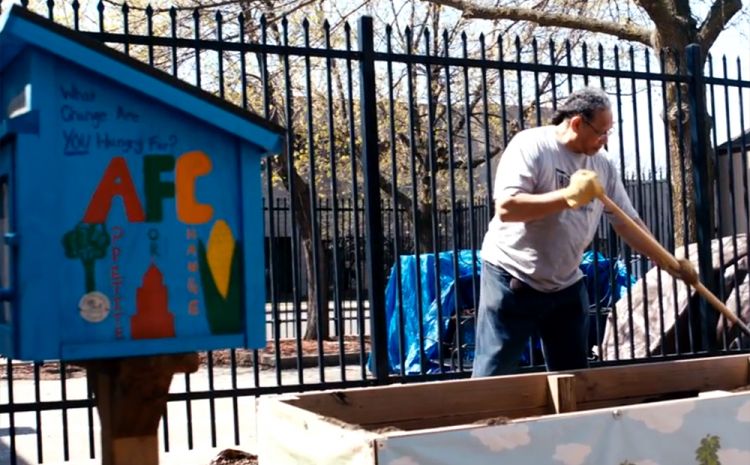 Man shoveling a raised bed