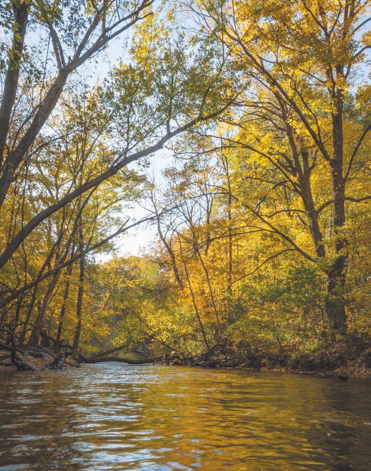 Heath Creek