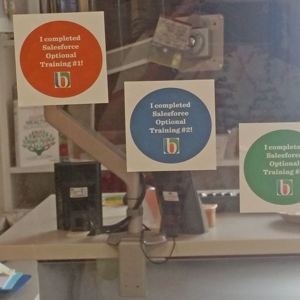 Figure 6  Window clings