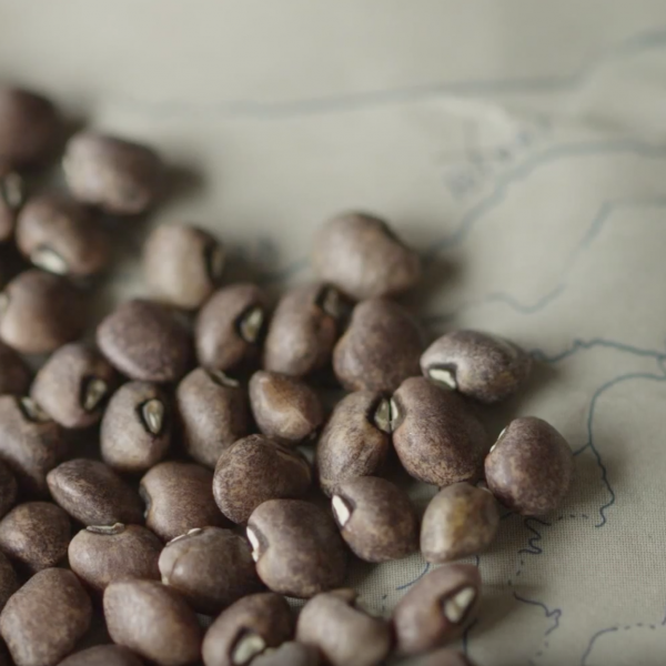 Beans on a map