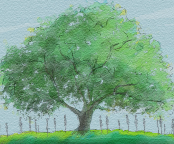 Native Governance Center tree