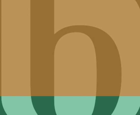 b logo