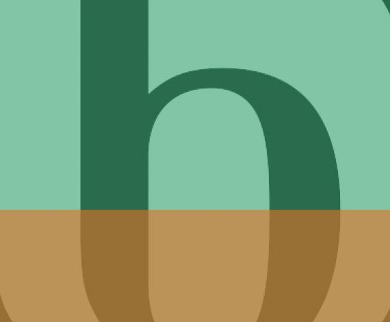 b logo