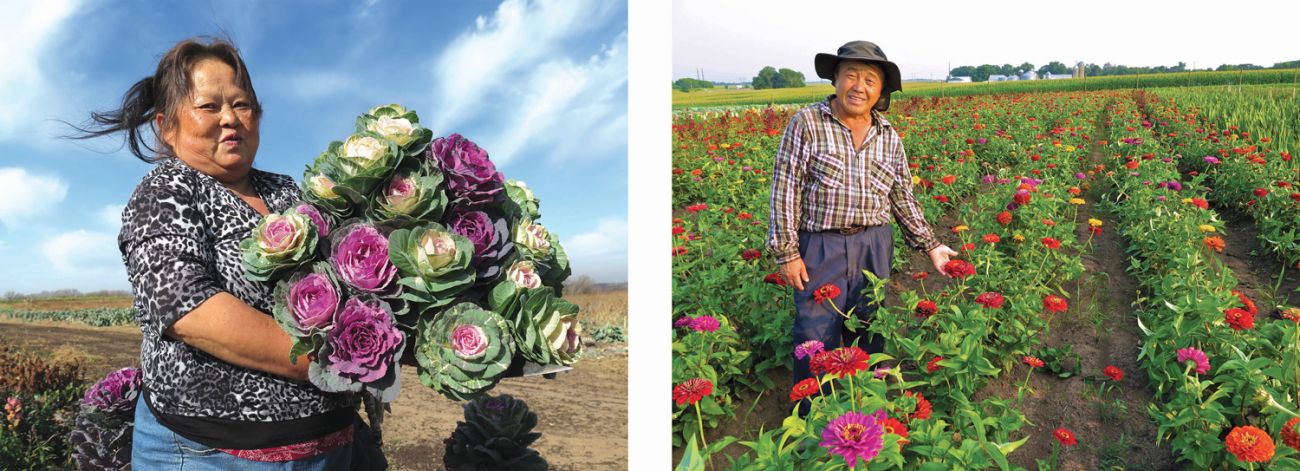 HAFA Farmers
