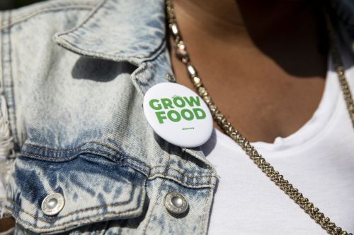 Grow Food