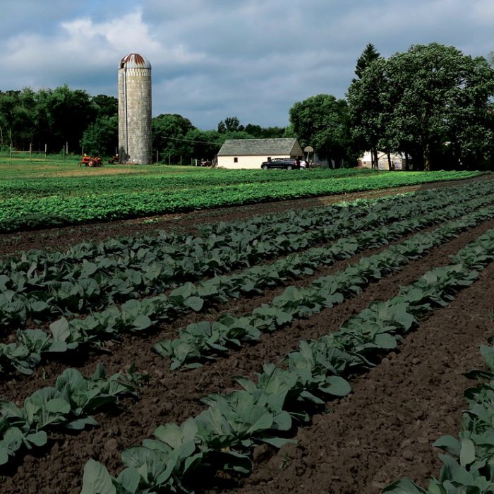 HAFA farm