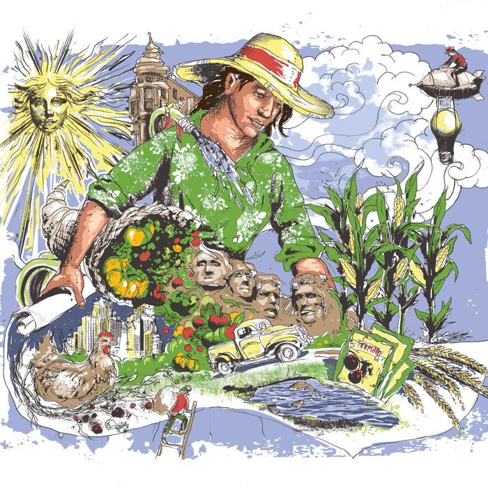 Illustrations by Shannon Brady.